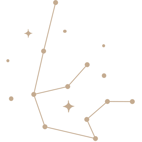 zdc-11.png