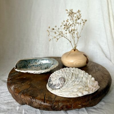 Coquille d'ormeau pour le nettoyage spirituel