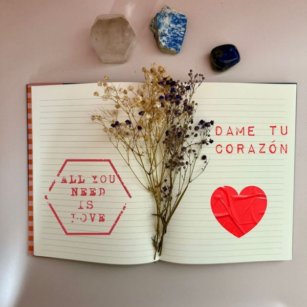 Sol Notebook - votre compagnon d'inspiration quotidien. – Image 2